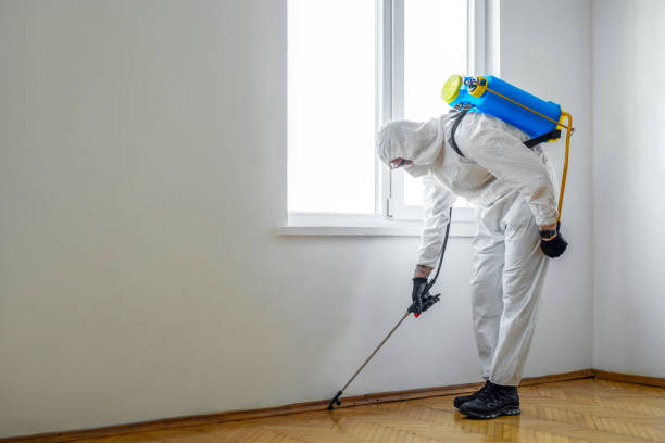 Best Pest Removal Services  in Battle Ground, IN