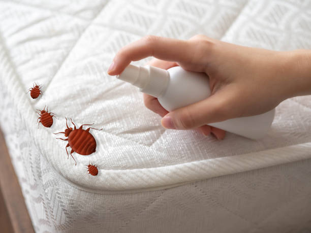 Best Cockroach Control Services  in Battle Ground, IN